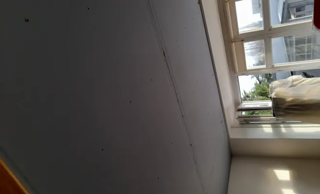 Travaux d'isolation d'appartements à Lille, Roubaix, Société Nouvelle LOUBERT